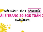 Giải bài 5 trang 20 Toán 7 Tập 1 SGK Cánh Diều